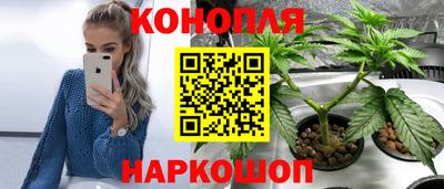 PSILOCYBIN Кулебаки
