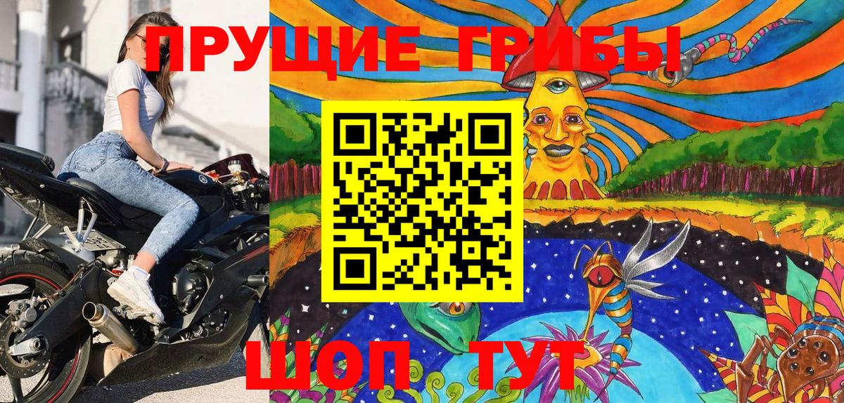 Выборг  Галлюциногенные грибы ЛСД  Вход с VPN 