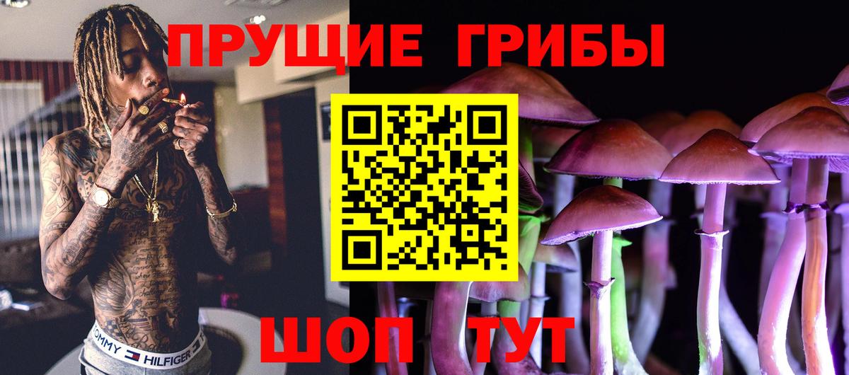 Галлюциногенные грибы Psilocybine cubensis Выборг